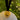 Christmas Runaway Duck Fine Bone China Bauble