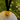 Christmas Runaway Duck Fine Bone China Bauble