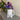 Baaley Sheep Fine Bone China 1/2 Pint Jug