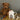 Sonny Spaniel Fine Bone China Kids Mug