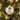 Pip Penguin Fine Bone China Bauble